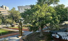 This image of Freedom Park in downtown Raleigh made available from the park's official social media.